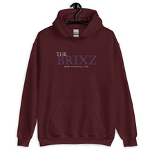 Load image into Gallery viewer, DREAMER Hoodie