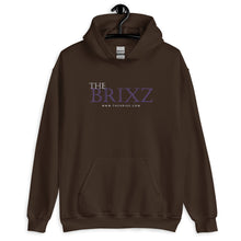 Load image into Gallery viewer, DREAMER Hoodie
