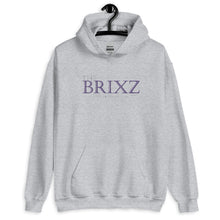 Load image into Gallery viewer, DREAMER Hoodie
